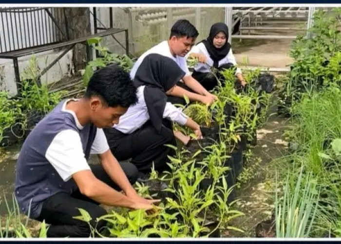 Lapas Empat Lawang Tingkatkan Pembinaan Kemandirian Lewat Pembersihan dan Persiapan Media Tanam Hidroponik