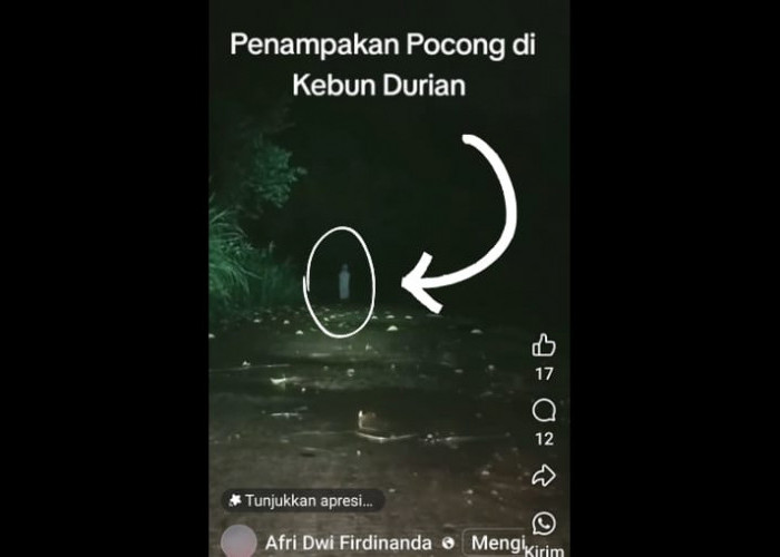 Heboh! Beredar Video Penampakan Pocong di Jalan Perkebunan Durian Warga Empat Lawang