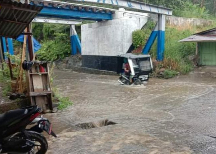 Contoh Underpass Jalan Lintas Tengah Sumatera, Selalu Tergenang Banjir!!