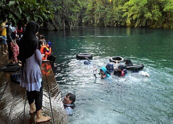 Keajaiban Danau Labuan Cermin: Wisata Alam Memikat di Tengah Kalimantan Timur