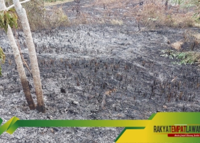 Kedapatan Membakar Lahan, Oknum Warga di Tebing Tinggi Malah Marah Saat Ditegur Tetangganya