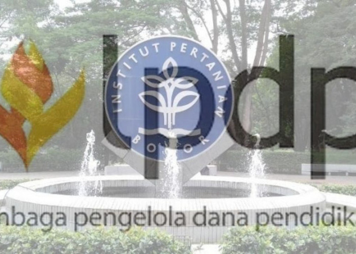 Daftar Universitas LPDP 2023 di 49 Kampus Dalam Negeri