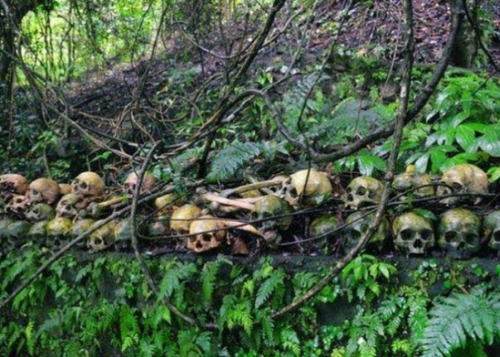 Misteri Kuburan Trunyan, Tradisi Pemakaman Unik yang Mengejutkan di Bali dengan Deretan Tengkorak