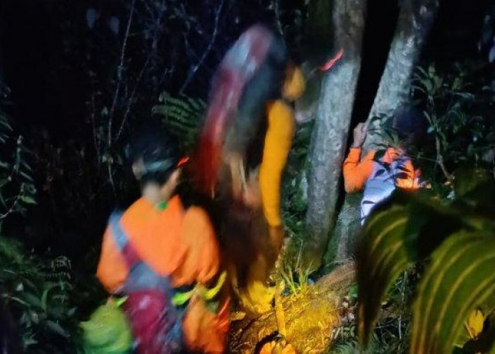 Tragis! Pendaki Asal Bengkulu Tewas di Puncak Gunung Dempo, Diduga Akibat Hipotermia