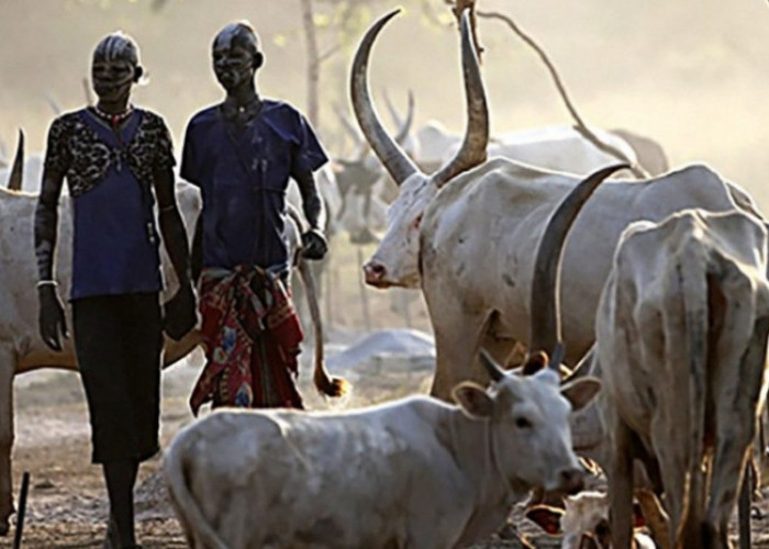 Tradisi Aneh Suku Dhinka Sudan: Menginjak Kotoran Sapi Sebagai Upacara Pemuda Dewasa