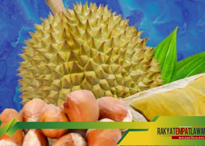 Manfaatkan Musim Durian, Bijinya Bisa Mengurangi Risiko Penyakit Jantung