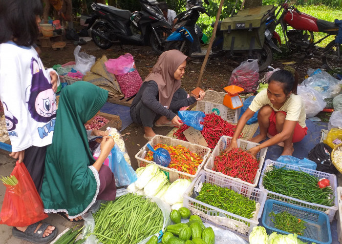 Pedasnya Harga Cabai di Palembang Tembus Rp100 Ribu, IRT dan Pedagang Mengeluh