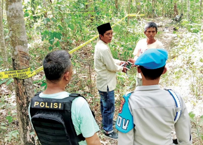 Tragedi Serangan Gajah Liar, Ibu Hamil Ditemukan Tewas di Kebun Karet