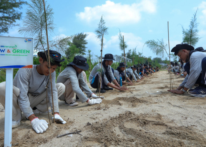 Peringati Hari Lingkungan Hidup Sedunia, BRI Pertegas Komitmen ESG Lewat Program BRI Menanam – Grow & Green