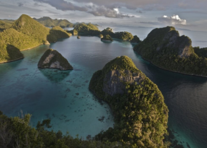 Raja Ampat: Keindahan Menakjubkan Bawah Laut Indonesia