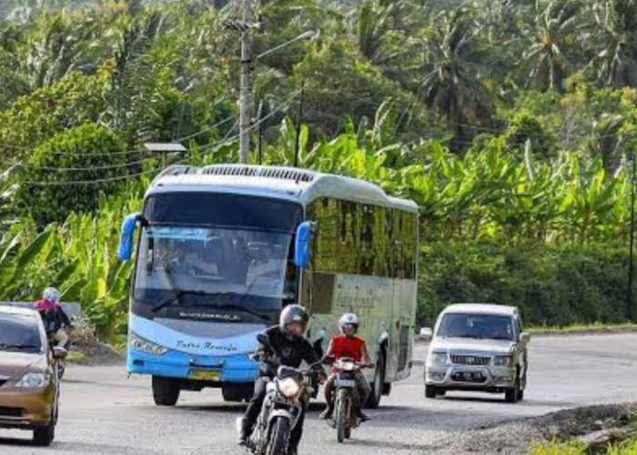 Tanjakan Tarahan Lampung Selatan: Lokasi Rawan Kecelakaan dan Misteri yang Menyelimutinya