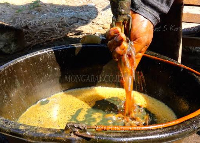 Terungkap! Solusi Legalitas Pengeboran Minyak di Muba, Pemerintah Siapkan Perpres