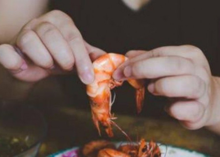 Makan Udang Setiap Hari, Bolehkah?