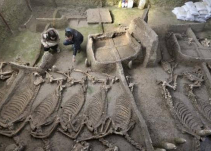 Penemuan Makam Kuno di Gunung Padang, Menyingkap Tabir Sejarah Masa Lalu