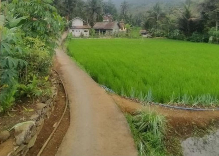 Warga Dusun Bangbayang Kidul Ciamis Dihantui Sosok Mistis Kuda Gonjreng