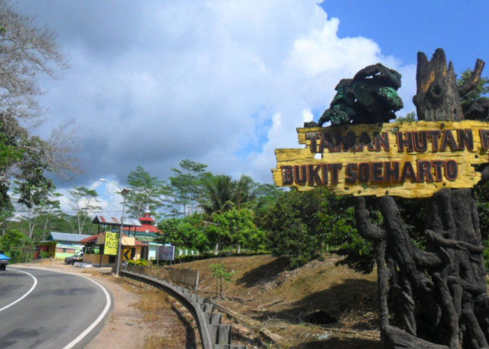 Lokasinya Dekat IKN, Berikut Pesona Bukit Soeharto Namun Penuh Misteri