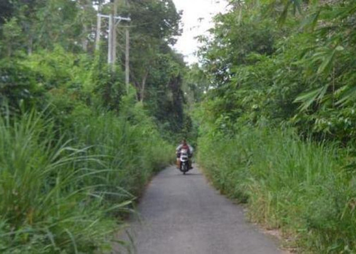 Akses Jalan Desa Sugiwaras Tertutup Semak Belukar