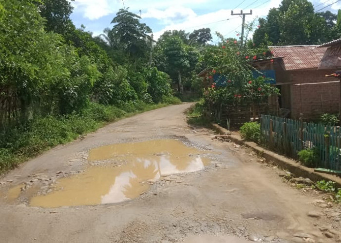 Jalan di Desa Ini Banyak Genangan Air Sampai Pengendara Kecipratan Air Hingga ke Muka