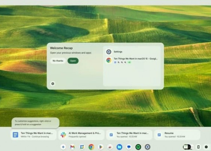 Mengenal Pilihan Sistem Operasi dari Windows 11, macOS Sequoia, ChromeOS dan Ubuntu