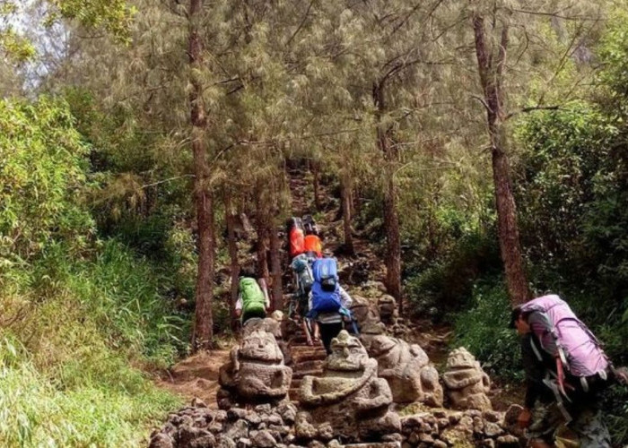 Sebelum Mendaki Gunung Arjuno Baik Melakukan Pilihan Jalur Pendakian yang Beragam