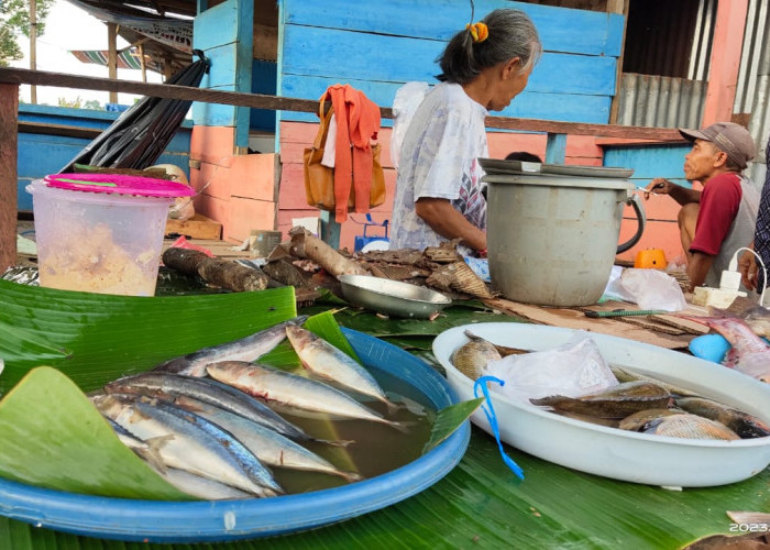 Sedikitnya Pasokan Ikan Berimbas Naiknya Harga di Pasar Tebing Tinggi