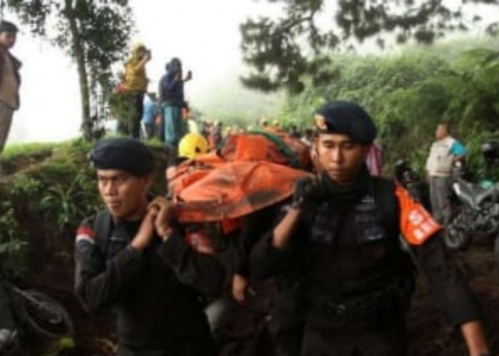 Mak Jo, Pahlawan Evakuasi Gunung Marapi, Temukan 11 Jenazah di Cadas dan Puncak