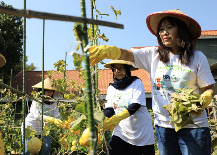 BRI Raih Penghargaan Indonesia Women’s Empowerment Principles Awards 2024 untuk Pemberdayaan Perempuan