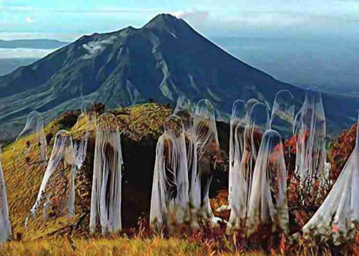 Misteri di Jalur Pasar Setan Gunung Lawu: Pengalaman Horor Nando