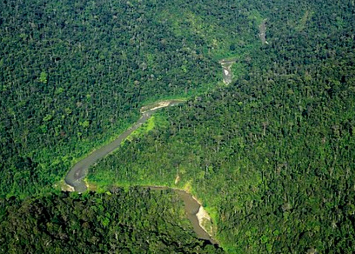 Taman Nasional Gunung Leuser: Surga Keanekaragaman Alam Sumatera
