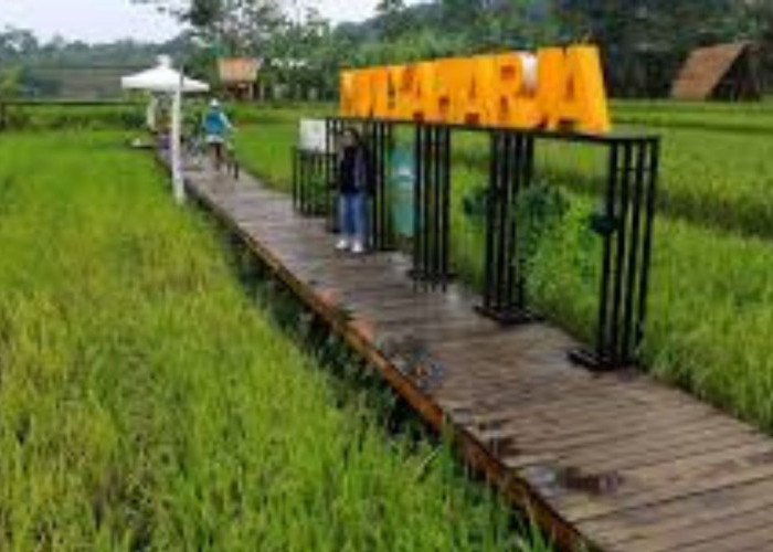 Agrowisata Organik Muliaharja: Destinasi Wisata Edukatif dan Seru di Bogor Selatan