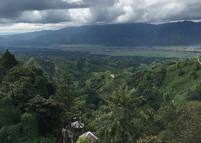 Taman Nasional Kerinci Seblat: Kecantikan Hutan Hujan Tropis dan Menara Tertinggi di Sumatera