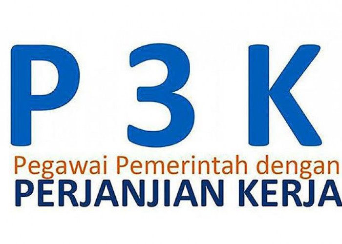 Perjalanan PPPK di Indonesia, Transformasi Pegawai Pemerintah Menjadi Profesional yang Terampil