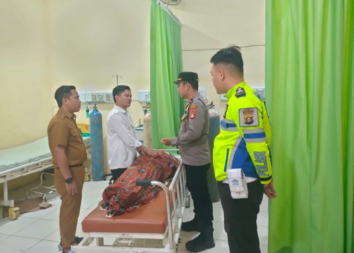 Sosok Wahyuni Puspita Sari, PNS Musi Rawas Tewas Setelah Tabrak Kerbau di Jalinsum