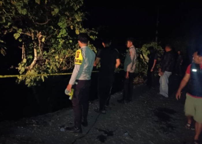 Avanza Bermuatan 12 Karung Cabai Terjun ke Jurang 15 Meter di Sapa Panjang, Polsek Muara Pinang Gerak Cepat 