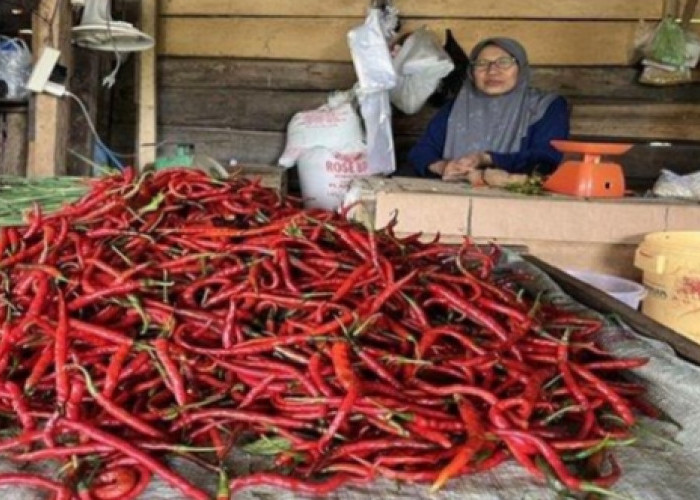 Harga Cabai Naik Jelang Akhir Tahun 2024 di Pasar Pulau Emas Tebing Tinggi