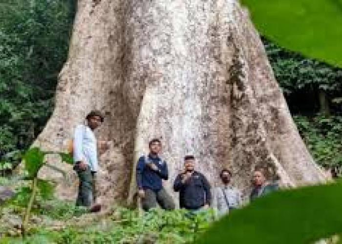 Bikin Geleng-geleng Kepala, Ternyata Ini Misteri Sumatera Selatan