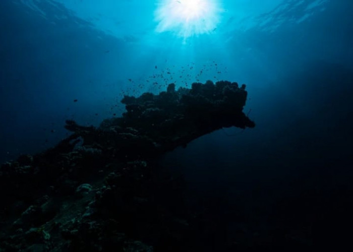 Ocean Deep Blue Water, Rahasia Kesehatan di Balik Air Laut Dalam