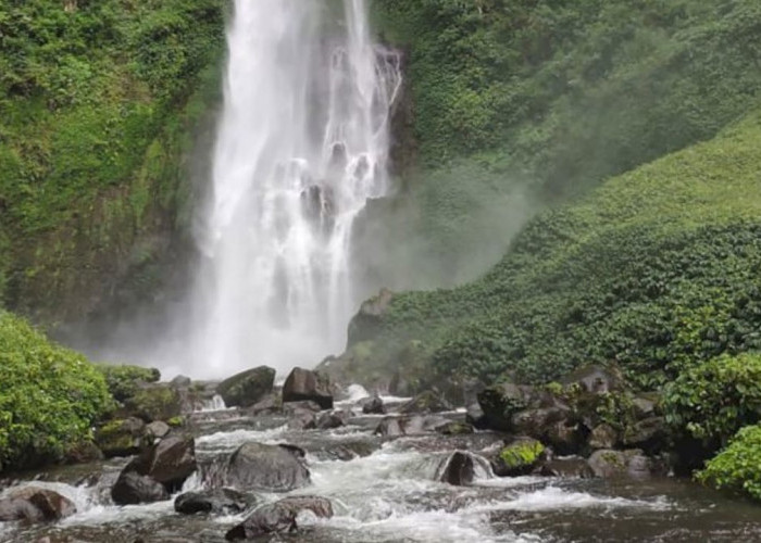 Air Terjun Bungo: Keindahan Tersembunyi di Desa Babatan, Empat Lawang