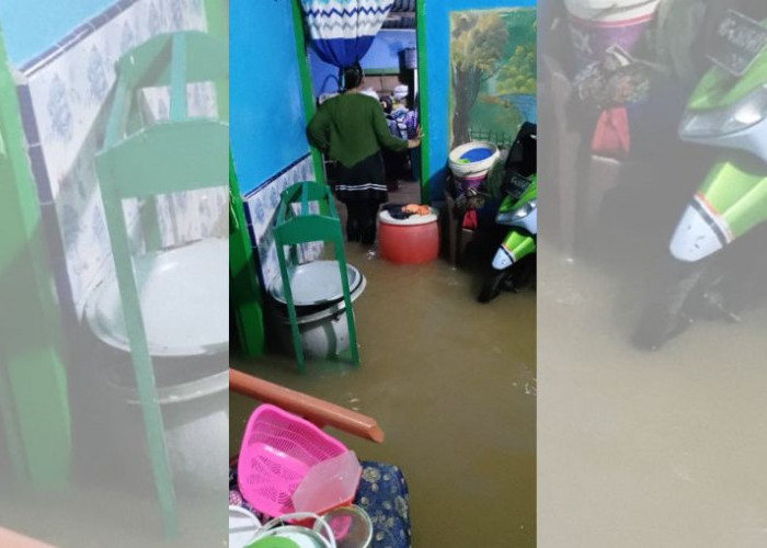 Hujan Deras di Lubuklinggau Picu Banjir dan Kemunculan Ular Berbisa, Warga Semakin Resah