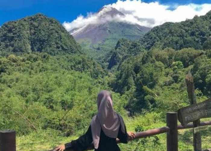 Menikmati Keindahan Gunung Merapi di Nawang Jagad
