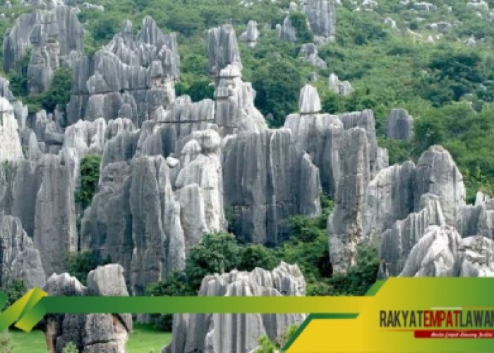 Keajaiban Alam di Hutan Batu Tsingy, Labirin Batu yang Mengagumkan