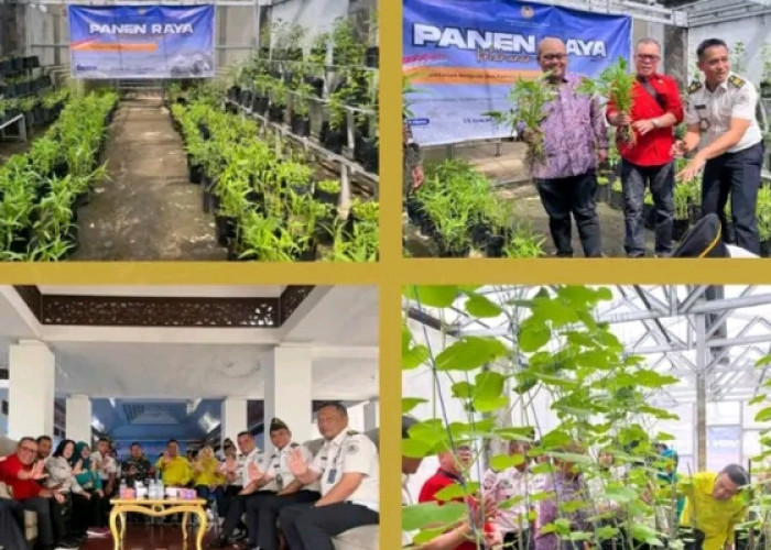 Lapas Empat Lawang Gelar Panen Raya Serentak Bersama Forkopimda, Dukung Ketahanan Pangan Nasional