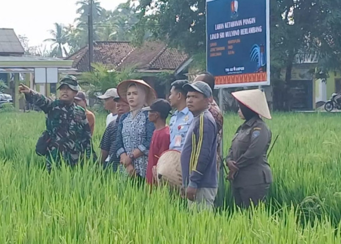 Sinergi TNI AU dan Pemkab OKU Timur Perkuat Ketahanan Pangan di Sumatera Selatan