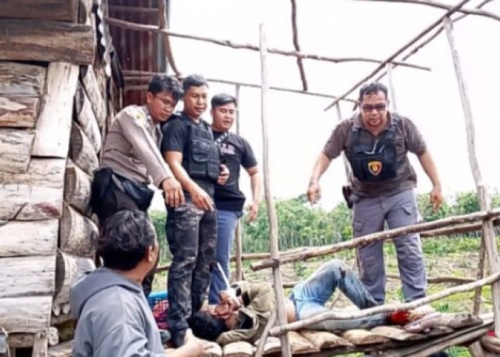 Anak 4 Tahun Disandera di Perkebunan Kopi, Polisi Berhasil Selamatkan Korban