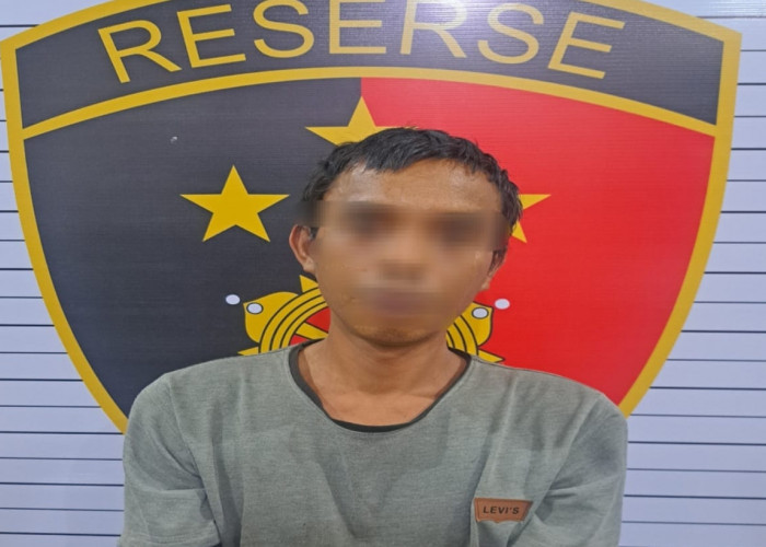 Tak Ada Ampun! DPO Kekerasan dan Pemerkosaan Ditangkap di Gunung Besurai Jambi, Polisi Buru Pelaku Lain