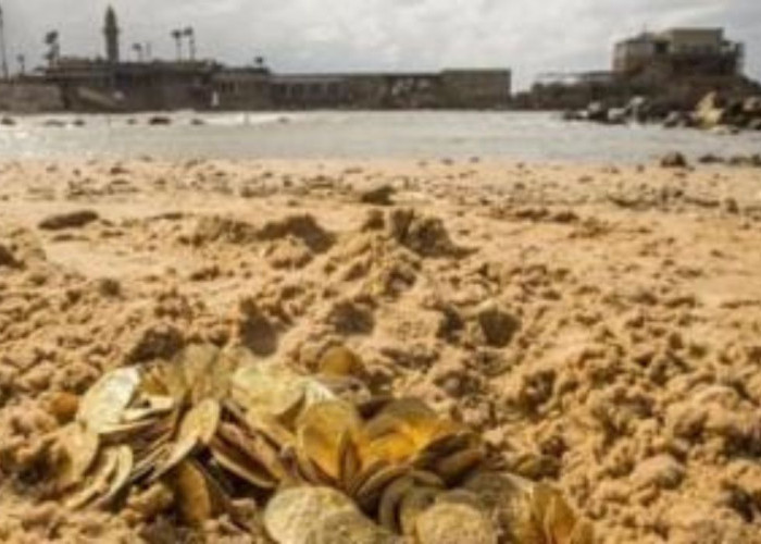 Penemuan Menakjubkan, 2.000 Koin Emas Kuno di Dasar Laut Caesarea
