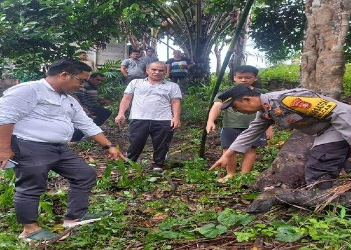 Misteri Kakek Tewas di Bawah Pohon Durian, Ini Fakta Mengejutkannya!