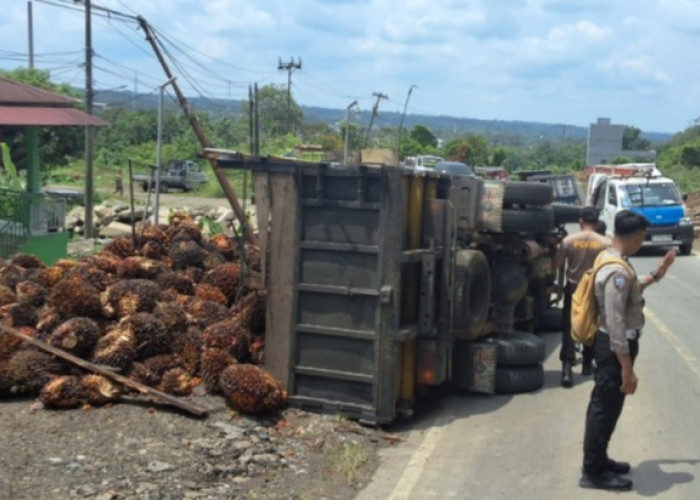 Truk Bermuatan Sawit Terguling di Tebing Alai Empat Lawang, Sopir Alami Luka Ringan