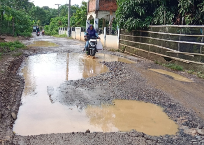 Bak Kembali ke Masa Lalu, Jalan Desa Tanjung Kupang Rusak Parah, Warga Keluhkan Akses dan Keselamatan
