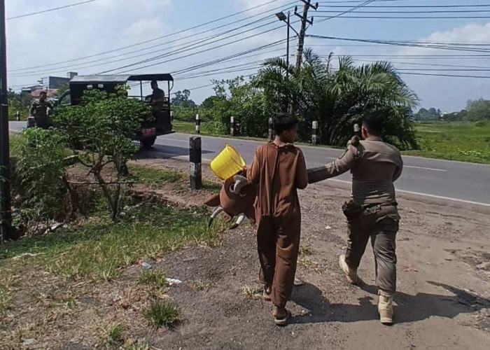 Satpol PP Muba Tertibkan Badut Jalanan dalam Patroli Trantibum di Sekayu